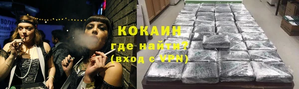 прущие грибы Абинск