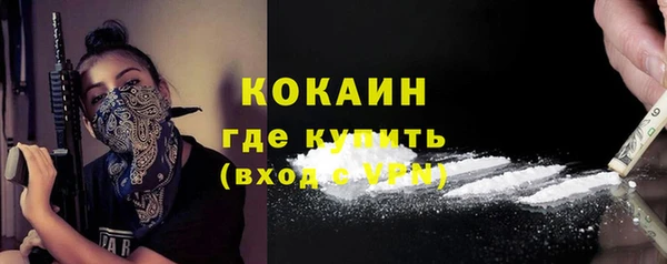 прущие грибы Абинск