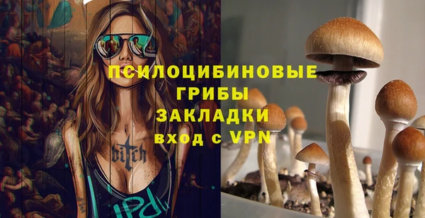 PSILOCYBIN Алексеевка