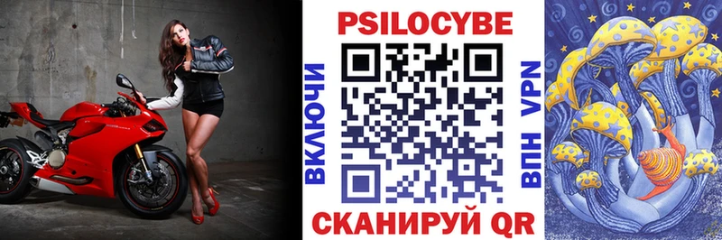 Галлюциногенные грибы Psilocybe  hydra ONION  Костерёво 